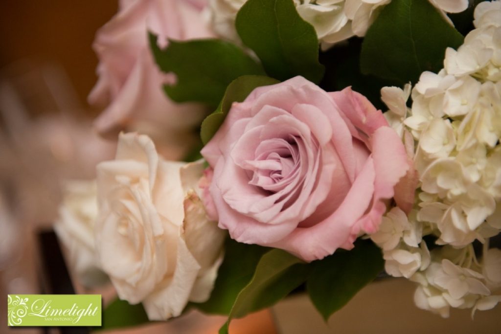 A pink rose close-up from Flair Floral!