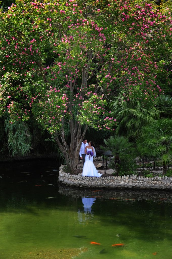 The Jingu House & Japanese Tea Garden is so wonderful to just walk around, even if you are the Groom and Bride.