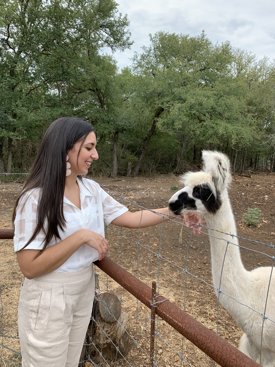 Erika petting llama at Harper Hill Ranch