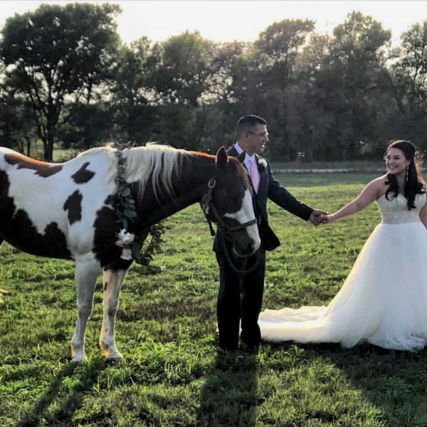 Wedding venues with animals in San Antonio, Texas
